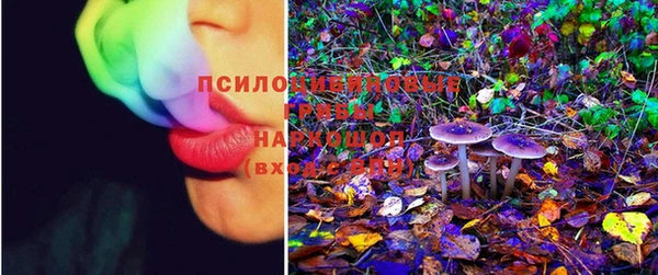 прущие грибы Алексеевка