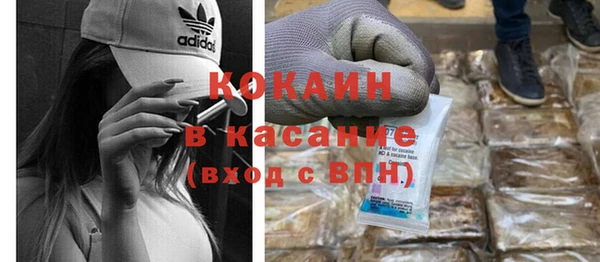 прущие грибы Алексеевка