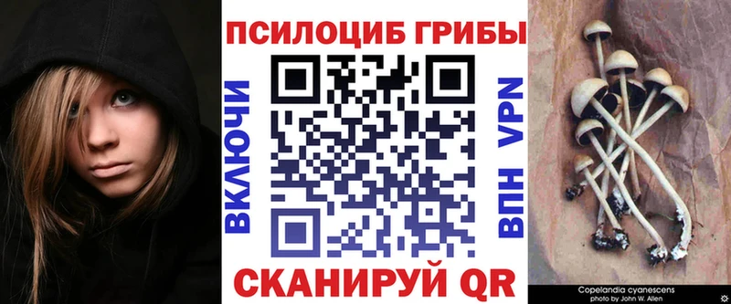 Псилоцибиновые грибы ЛСД Гуково