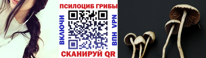 Галлюциногенные грибы Cubensis  OMG онион  Гуково 