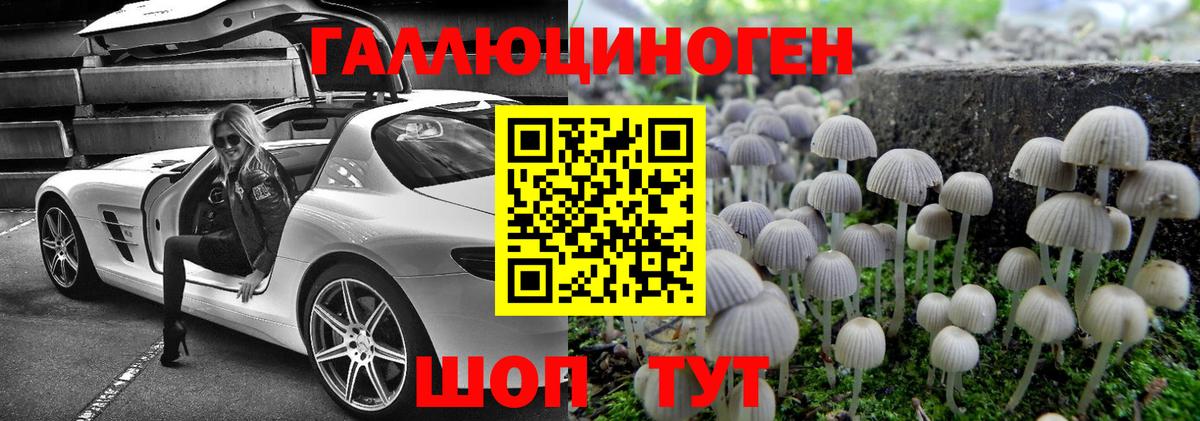 Псилоцибиновые грибы Cubensis Гуково