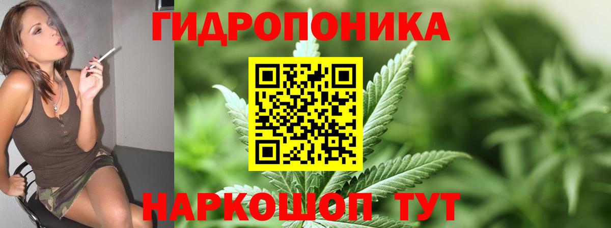 Шишки марихуана Ganja  МАРИХУАНА SATIVA & INDICA  Гуково  Вход с VPN  Бошки Шишки SATIVA & INDICA 